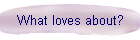 What loves about?